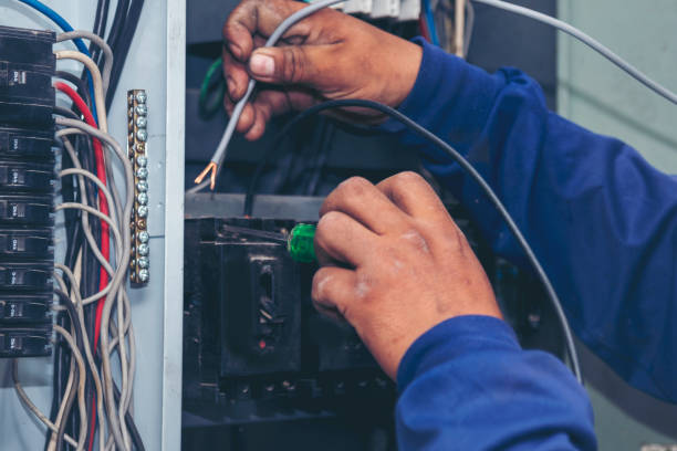 Best Licensed Electrician  in Pegram, TN